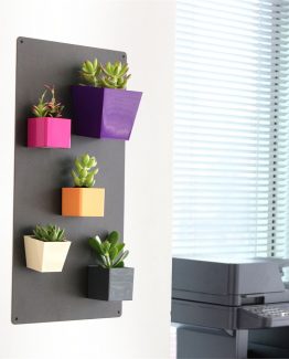 5-adet-miknatisli-saksi-5-adet-sukulent-3cc6