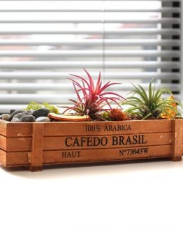 ahsap-saksi-airplant-seti-b9e7