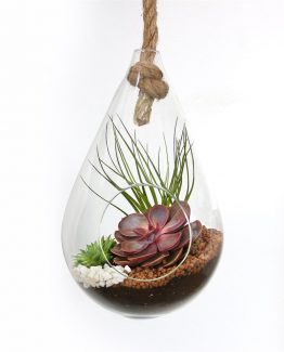 askili-fanus-seti-eb92