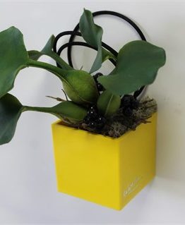 cubo-6cm-9efc cubo-6cm-9efc
