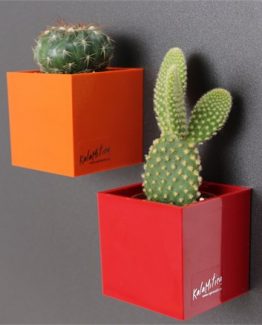 cubo-9cm-383d cubo-9cm-383d