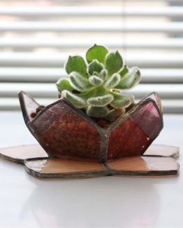 el-yapimi-cam-saksi-sukulent-0043