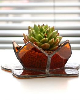 el-yapimi-cam-saksi-sukulent-2-2ec8