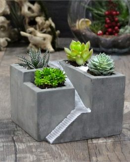 ev-beton-saksi-4-adet-sukulent-a9e5