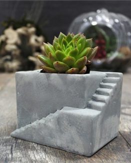 ev-beton-saksi-sukulent-a395