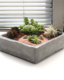 kare-sukulent-bahcesi-5f63