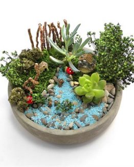 mini-bahce-seti-1-8d0f