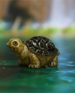 mini-kaplumbaga-maketi-1-ca28