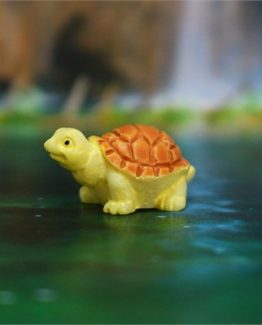 mini-kaplumbaga-maketi-2-b0e8