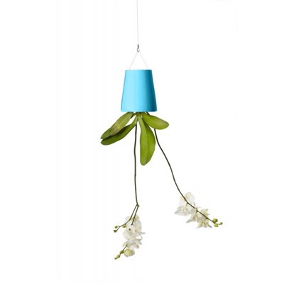sky-planter-6725