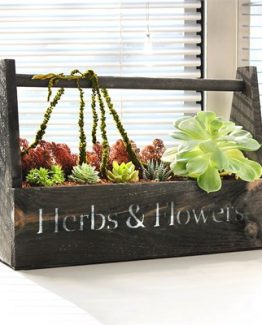 sukulent-sepeti-1-f97a