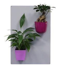 top-manyetik-saksi-6cm-d932
