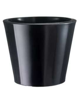 tronco-brill-50-polietilen-saksi-f6ce tronco-brill-50-polietilen-saksi-f6ce